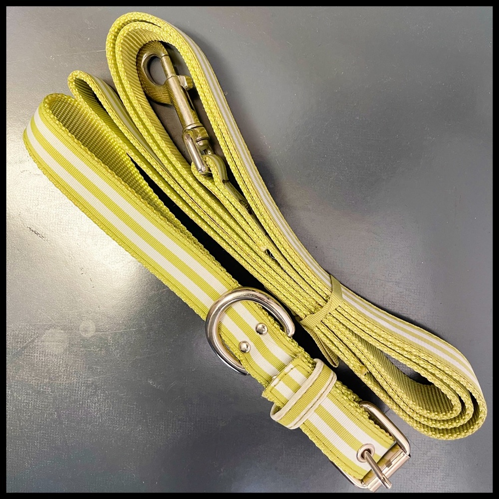 Lime Green & White Stripe Dog Leash & Collar Set. New. 🐾